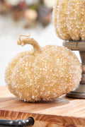 5" - 8" Iced Beaded Pumpkin