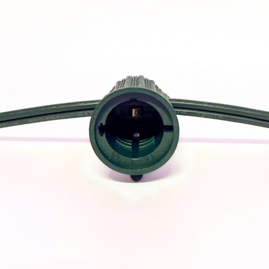 C9 Socket Cord - 50' 12" Spacing