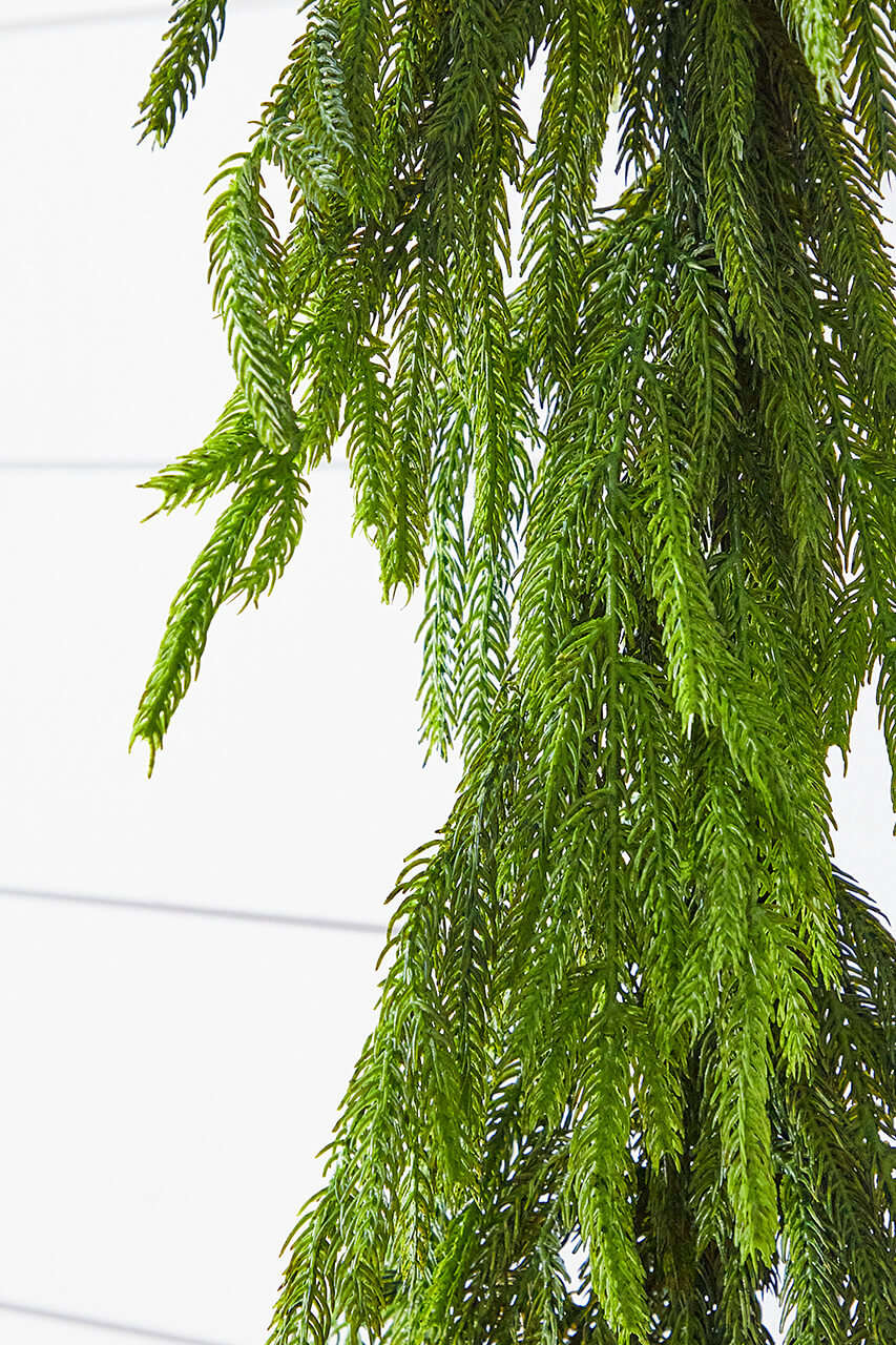 72” Real Touch Norfolk Pine Garland