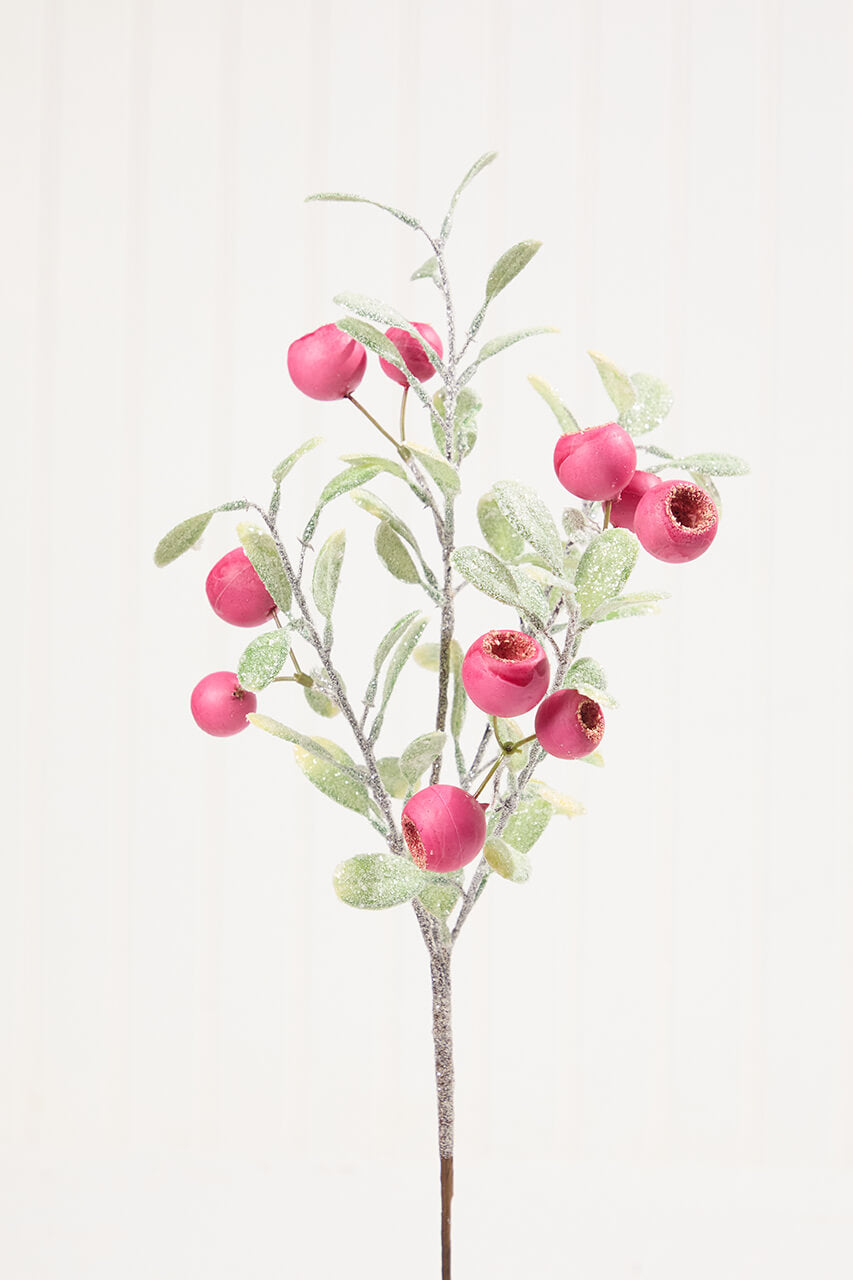 20" Pod Leaf Frosted Pick - Pink