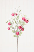 20" Pod Leaf Frosted Pick - Pink