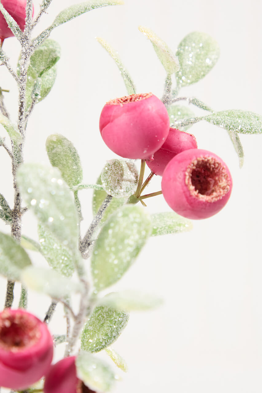 20" Pod Leaf Frosted Pick - Pink